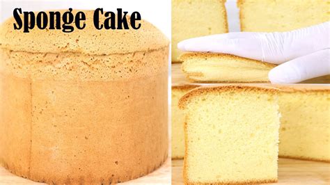  Vanilla Sponge:  A Delightful Dweller Hiding Treasures Within its Porous Form!